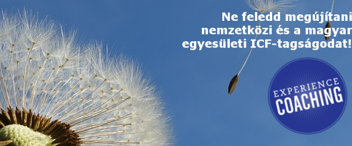 Tagmegújítás, Tagdíjfizetés